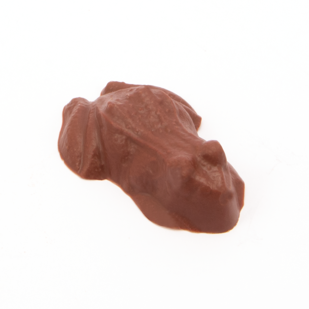 chocolate frog to go inside eco treat box