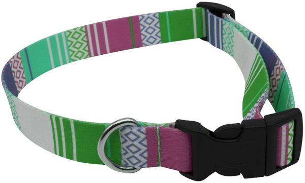 recycled dog collar in multicolour