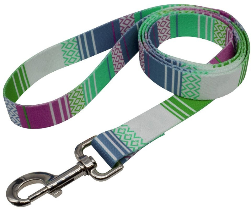 recycled PET dog lead in multicolour
