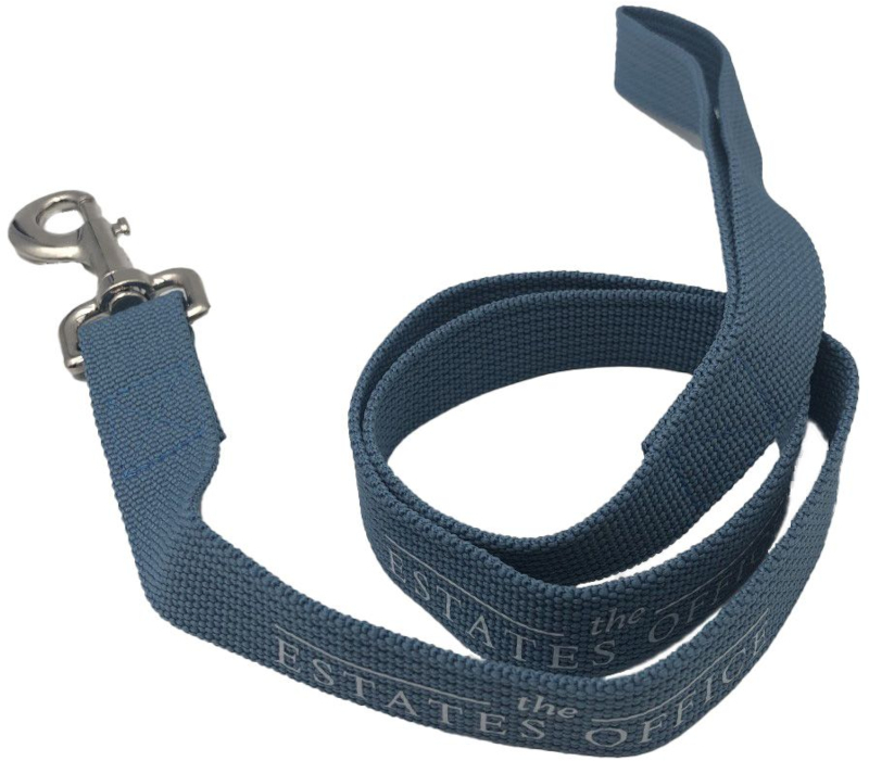 recycled PET dog lead in blue