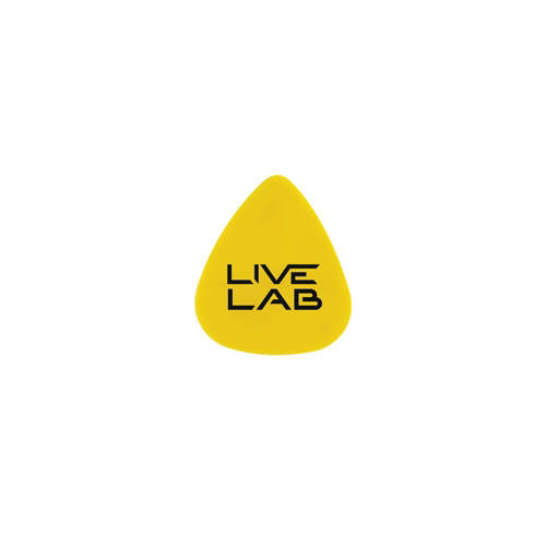 Branded Guitar Plectrum