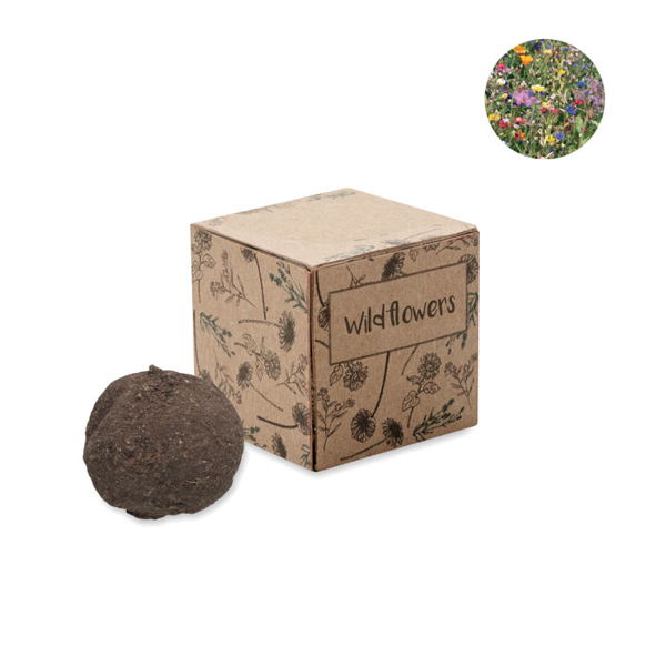 Picture of Bomb seed growing kit