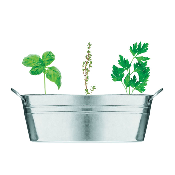 Tub with plants growing out of it 