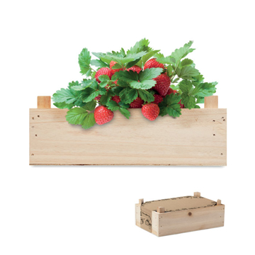 Plant box with strawberries growing out of 