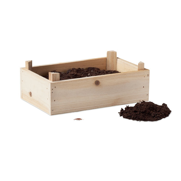 Strawberry growing kit