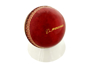 a red cricket ball in a white stand with gold branding 