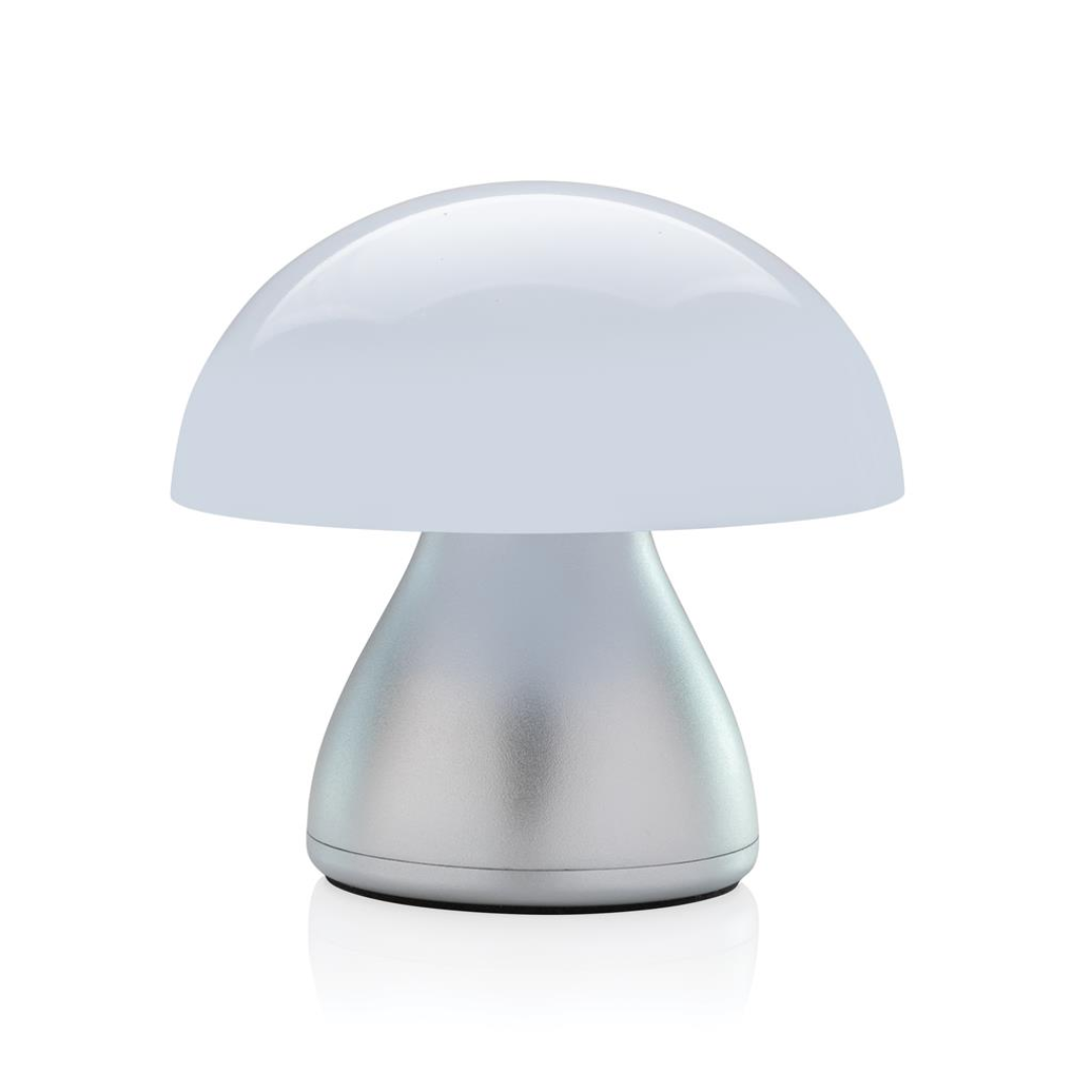 recycled LED lamp with a silver body