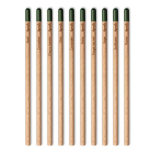 group shot of sprout pencils