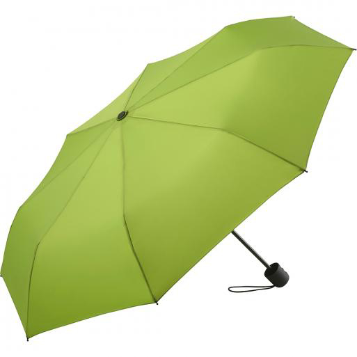 image of an umbrella in green open