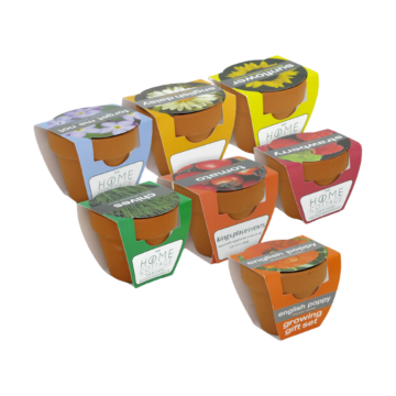Show details for Tiny Terracotta Pot with seeds Tiny Terracotta Pot with seeds in the different varieties