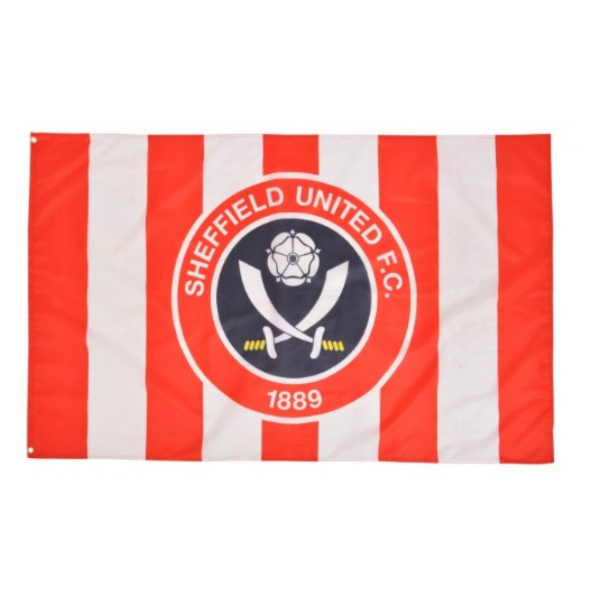 Picture of Large promotional flag