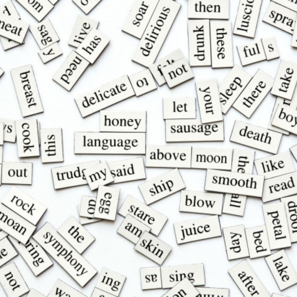 Picture of Magnetic Words