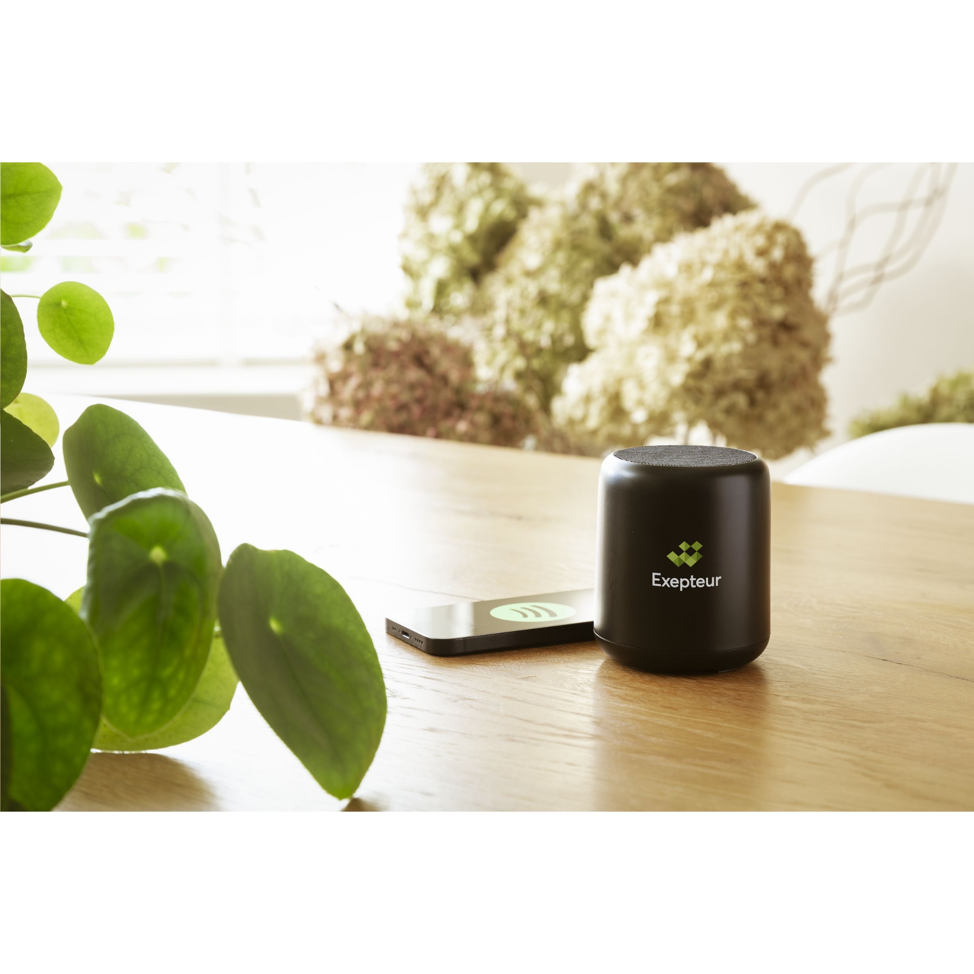 Recycled Speaker 