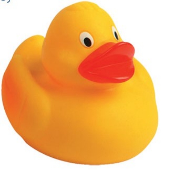 Racing Duck