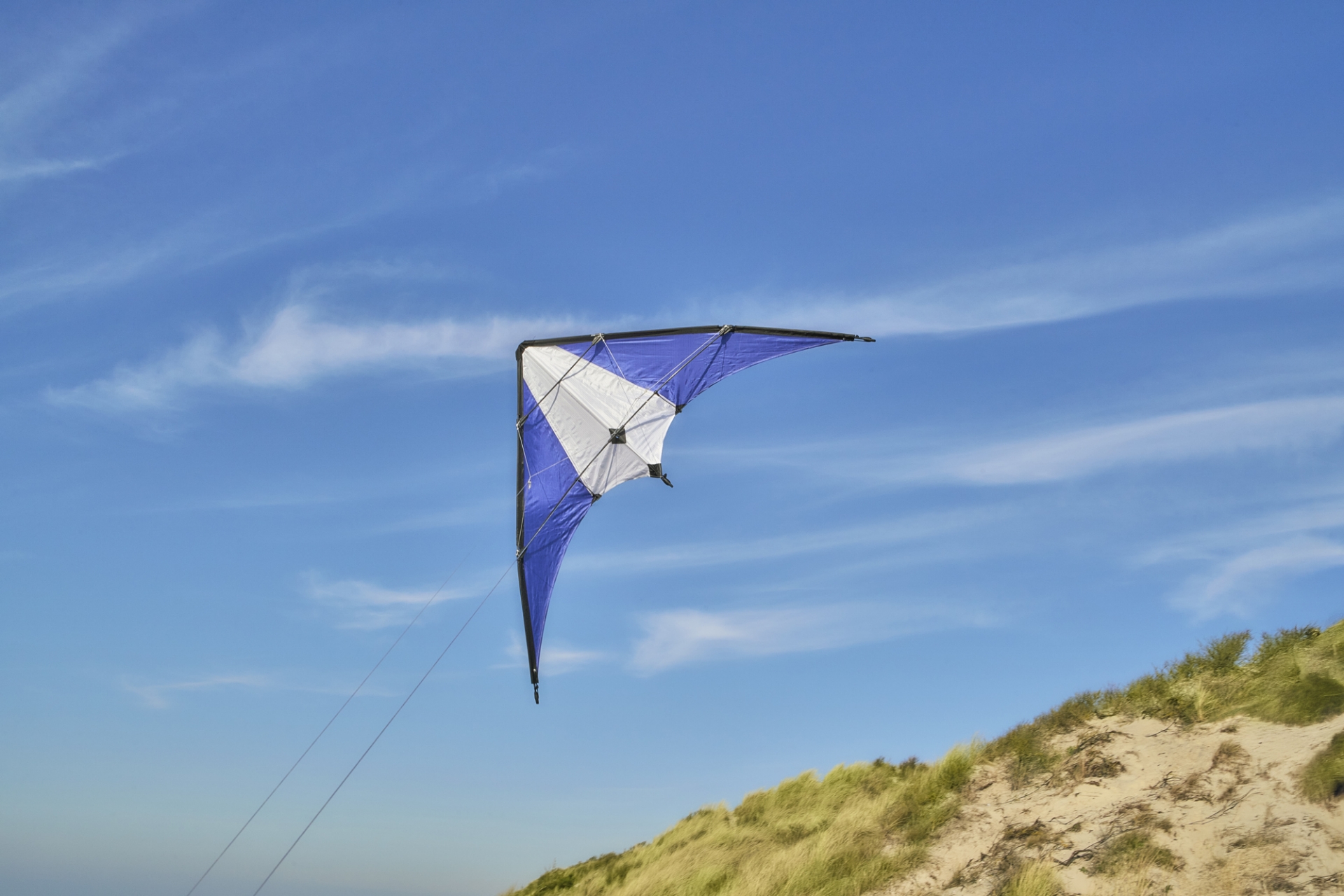 Cobalt Blue Delta Kite	