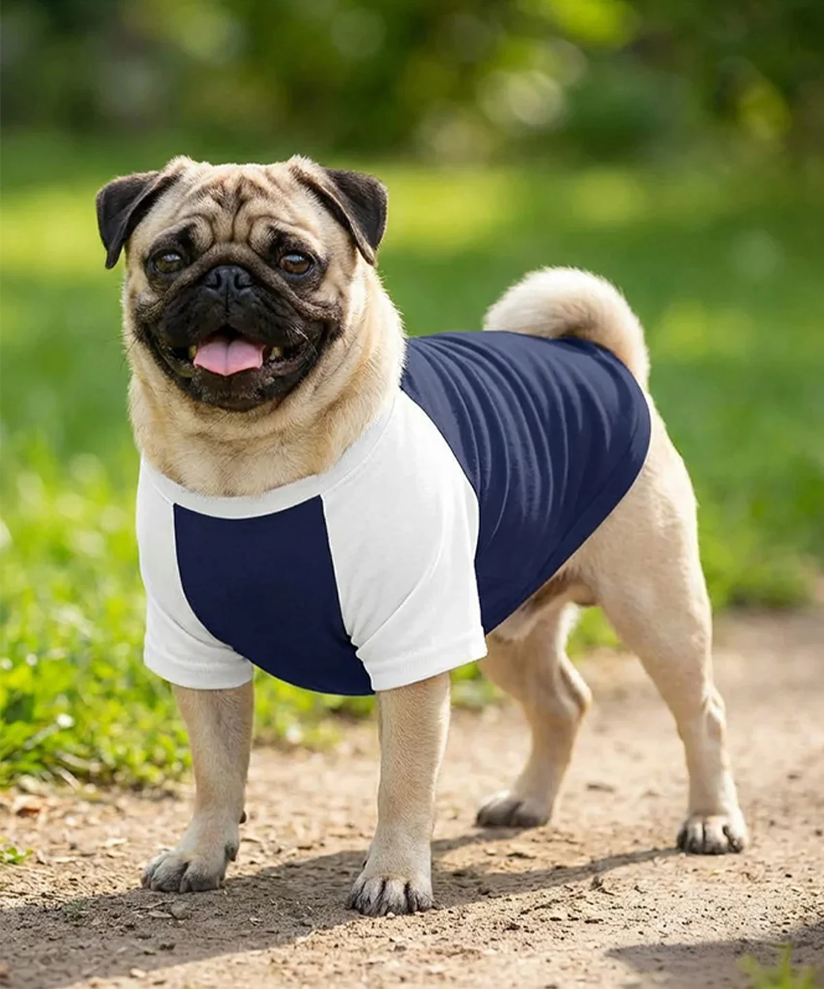 Picture of Dog’s raglan t-shirt